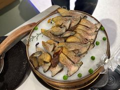 见手青-芸山季·云南野生菌火锅(南翔印象城MEGA店)