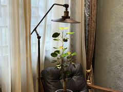 -31号公馆(黄兴广场白果园店)