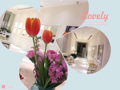 -UP&UP·半永久眉毛眼线机器野生眉