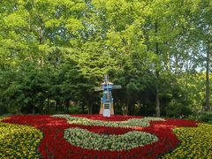 -上海共青森林公园