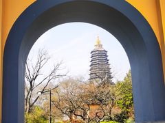 -红梅公园
