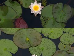 -茅家埠