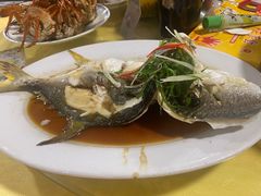清蒸金鲳鱼-莲花公园煎蟹(总店)