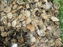 -和源祥·日照菜扛把子(万平口一店)