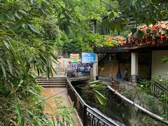 -将军关探险漂流