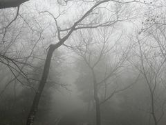 -北仑森林植物园