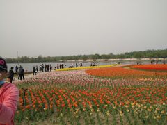 -廊坊文化艺术中心