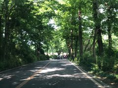 -国生茶庄·地道农家菜团建活动