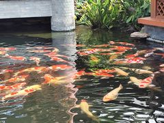 -香麒园·过桥米线·南湖雅宴