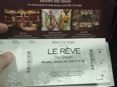 -拉斯维加斯永利酒店