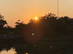 -福田红树林生态公园