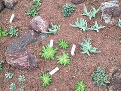 -南通洲际绿博园