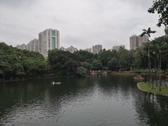-晓港公园