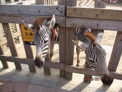 -大连森林动物园