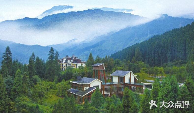 你还在成都做人肉除霾机吗