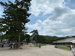 -奈良公园