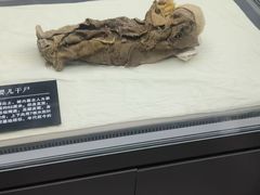 -巴音郭楞蒙古自治州博物馆