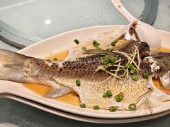 -瑞记湛江鸡饭店·粤西第一鸡(粤垦店)