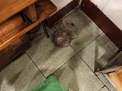 -鸿顺老铁锅美蛙鱼府(解放碑店)