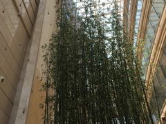 -上海雅居乐万豪侯爵酒店