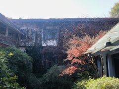 -中国茶叶博物馆(双峰馆区)