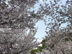 -堤角公园