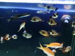 -沈阳海洋探索中心