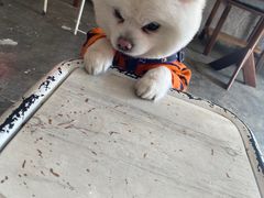 -DC咖啡(学田南苑店)