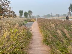 -汉长安城未央宫国家考古遗址公园