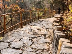 -北京上方山国家森林公园