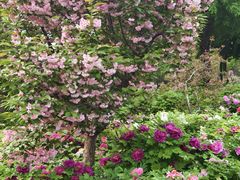 -洛阳市隋唐城遗址植物园