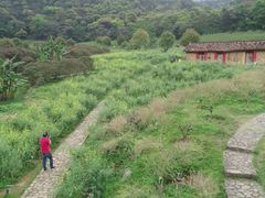 -广州市石门国家森林公园