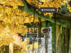 -尹家峪田园综合体