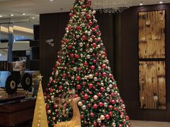 -上海西藏大厦万怡酒店