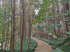 -上海市保健医疗中心