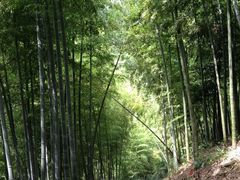 -藏龙百瀑风景区