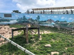 -西霞口神雕山野生动物世界