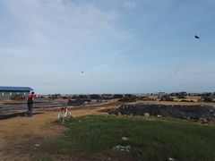 -尼甘布海鲜市场