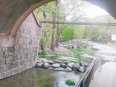 -白水寺森林公园
