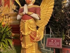 -品德宏·孔雀宴的发源地(金塔园店)