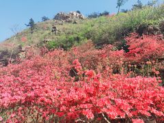-青岛大珠山景区