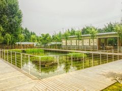-午后庭院