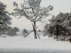 -华彬猛犸滑雪场