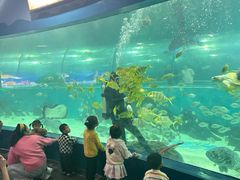 -苏州海洋馆
