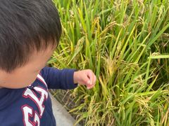 -中国天府农业博览园