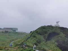 -涉地可支