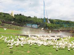 -瓷天下海丝谷