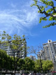 -中谷小南国花园酒店·宴会厅