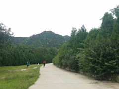 -北京鹫峰国家森林公园