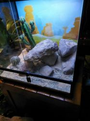 -酷嗒动物文化乐园(cutezoo西溪乐天城店)